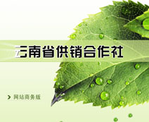 云南省供銷(xiāo)社網(wǎng)站案例展示